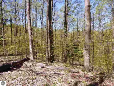 Elevated Wooded Lot Near Golf