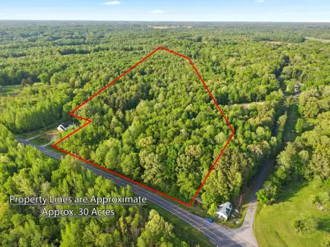 Fully Wooded Hunting Land