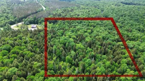 Wooded Hunting and Recreation Land
