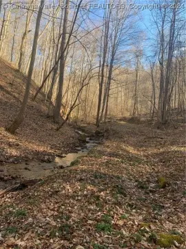 115.3 Acres in Sutton, WV