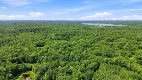 Conservation Easement Land