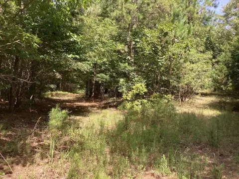 Grannis, AR Vacant Land