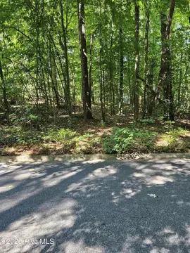 Residential Lot in Williamston