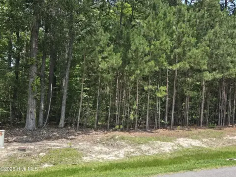 Wooded Homesite in Gated Community