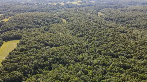 Unrestricted Ozark Timber Recreation Tract
