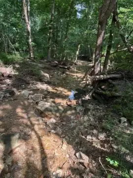 Recreational Hunting Land with Springs