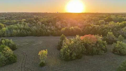 Land for Development and Hunting