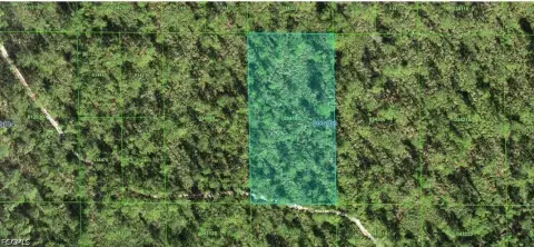 Vacant Land in Lake Wales