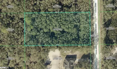 Vacant Lot in Webster, FL