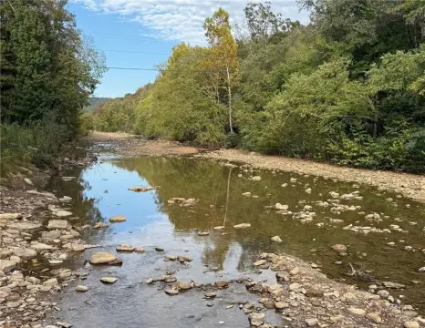 Creek-Frontage Hunting Land