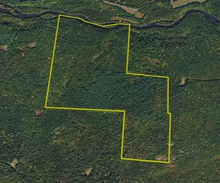 173 Acres of Untouched Timberland
