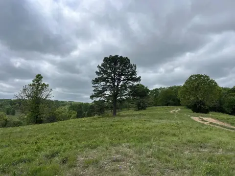 Prime Recreational and Hunting Land