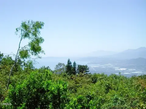 Avocado Farm with Coastal Views