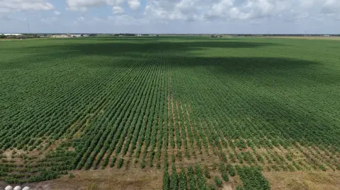 Industrial Land Development Tract