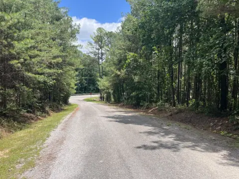 Timberland with Paved Road Frontage