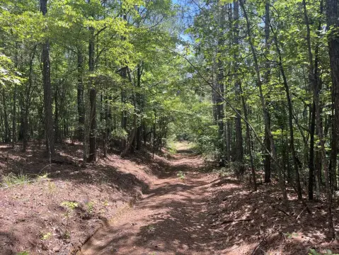 Timber and Hunting Land Tract