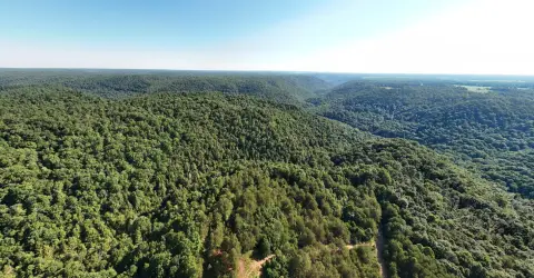 Recreation and Hunting Land Tract