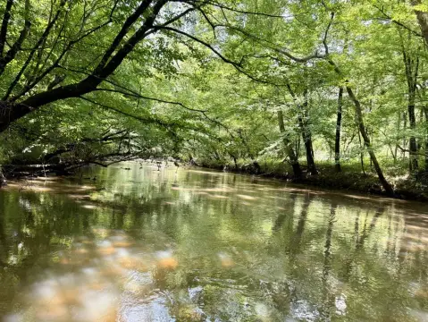 Creek-Frontage Waterfront Homesite Land