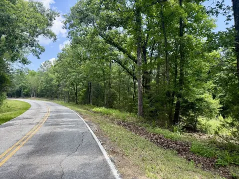Wooded Recreational Land Tract