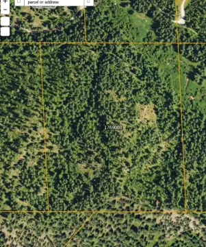 Springdale Treed Land For Sale