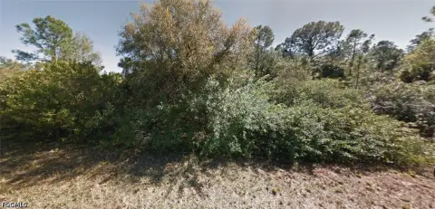 Lehigh Acres Buildable Land