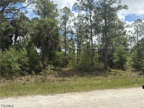Residential Lot in Lehigh Acres