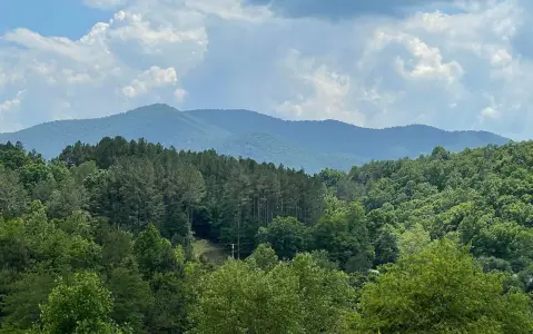 Warne, NC Vacant Lot