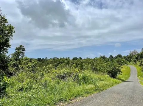 Land Ideal for Eco-Tourism Development