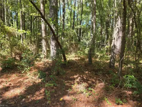 Wooded Commercial Land