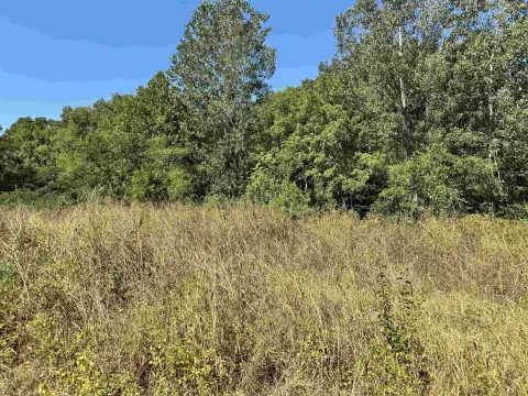 Residential Land in Savannah, TN
