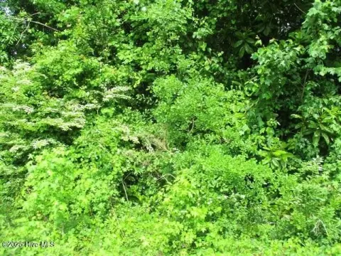 Wooded Land For Sale