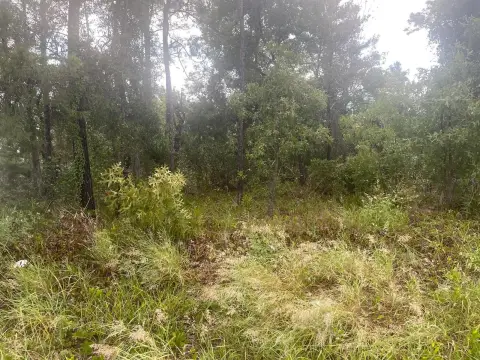 Commercial Land with Prior Plans