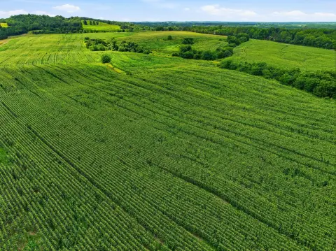 Working Farm with Cropland