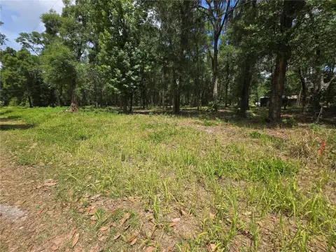 Vacant Land in Growing Ocala