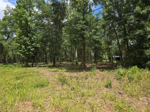 Vacant Land in Growing Ocala
