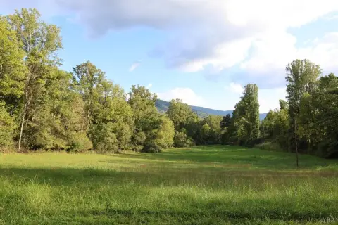 Waterfront Land with Springs