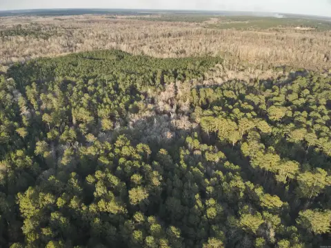 Timberland Parcel Near Junction City