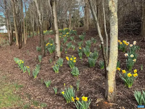 Residential Building Lots in Crozet