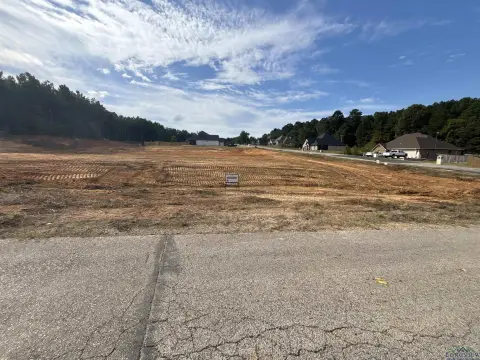 Cleared Lot in Diana, Texas