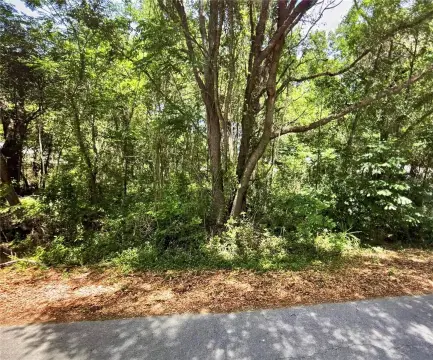 Residential Lot in Silver Springs