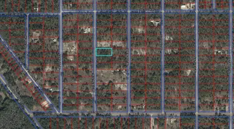Acre Homesite in Dunnellon, FL