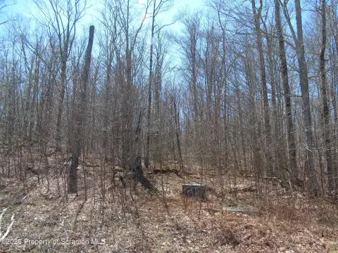 Roaring Brook Twp Land Opportunity