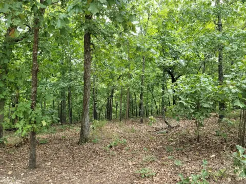 Cherokee Village Vacant Land