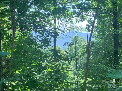 Land with Mountain View Potential