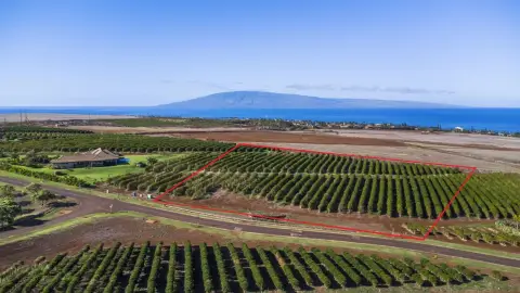 Kaanapali Coffee Farms Vacant Land