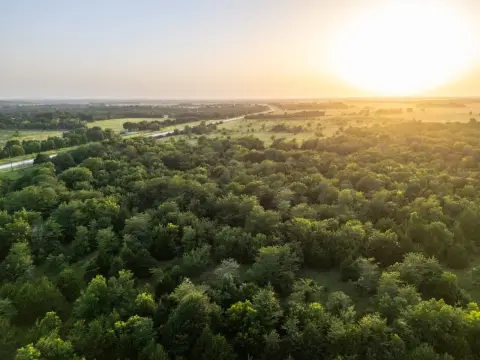 Waterfront Hunting Land with Timber