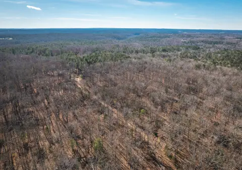 Secluded Wooded Land in Licking, MO