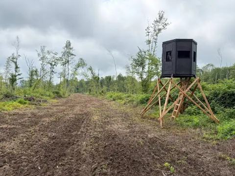 Hunting Land with Food Plots
