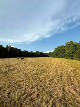 Agricultural Land with Pond