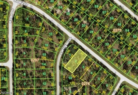 Residential Lot in Punta Gorda